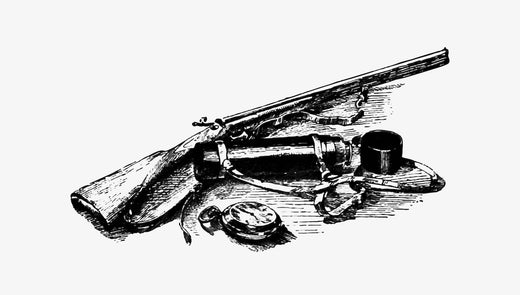 Gun